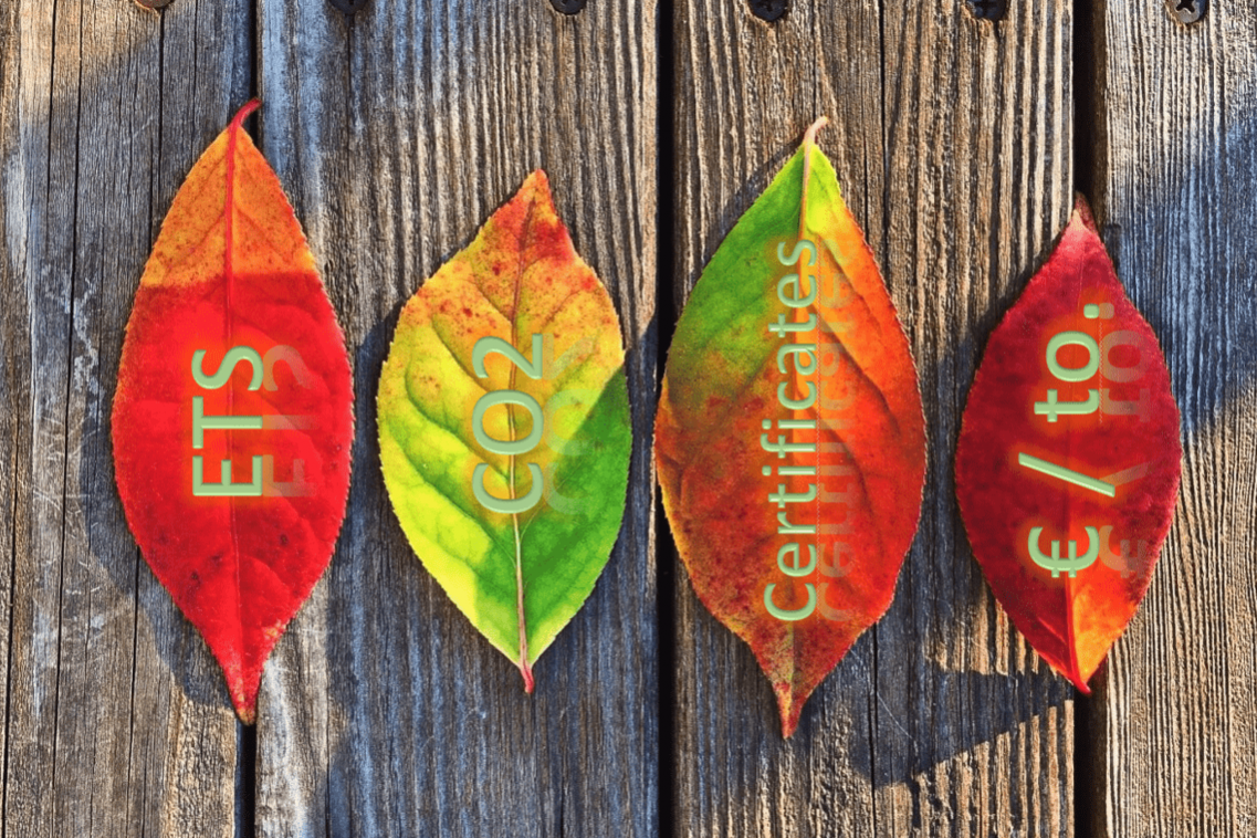 image_2023-11-15_11-55-12